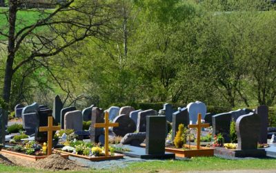 What Types of Cemetery Plots Are There?